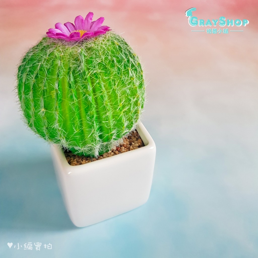 彩虹/馬賽克雙面背景紙